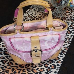 Vintage Coach  Hobo Y2K Purse in Rare Pink  Fabric